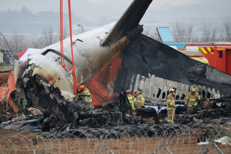 aviation-expert-suggests-‘sinister’-cause-of-south-korea’s-jeju-air-plane-crash-that-killed-179