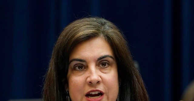 gop-rep.-malliotakis:-doing-border,-energy,-taxes-in-one-bill-would-get-buy-in,-help-get-salt-relief