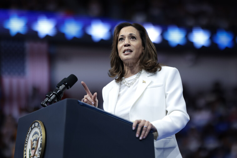 vice-president-kamala-harris-appears-to-flub-pledge-of-allegiance-in-latest-gaffe