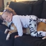 3-year-old-girl-mauled-to-death-by-‘vicious’-dogs-at-ohio-home:-‘i-just-woke-up-and-my-daughter-is-dead’