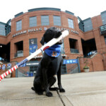 ripken-the-bat-dog,-best-known-for-fetching-on-field-items-at-north-carolina-sports-events,-has-died