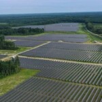 michigan-to-clear-420-acres-of-trees-in-state-forest-for-solar-farm