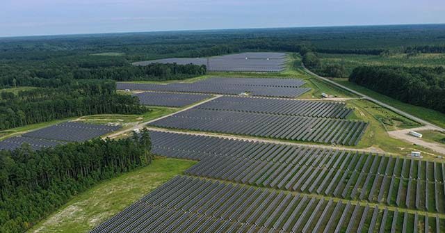 michigan-to-clear-420-acres-of-trees-in-state-forest-for-solar-farm