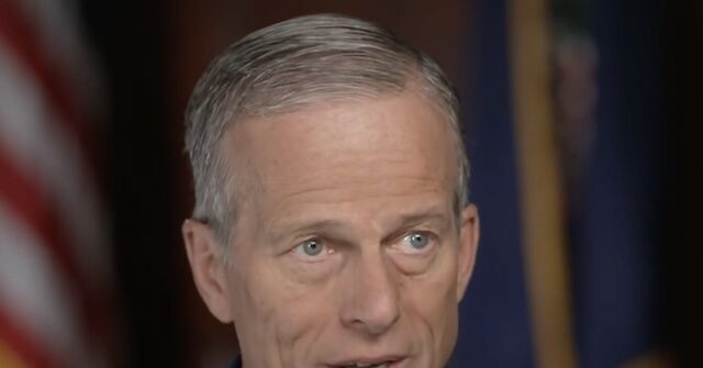 thune-questions-if-it-is-‘realistic’-to-deport-everybody-in-the-country-illegally