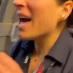 american-airlines-passenger-tears-into-flight-attendant-for-wearing-apparent-pro-palestinian-pin:-video