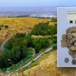 ancient-treasure,-largest-of-its-kind-in-israel,-found-buried-in-2,100-year-old-kitchen