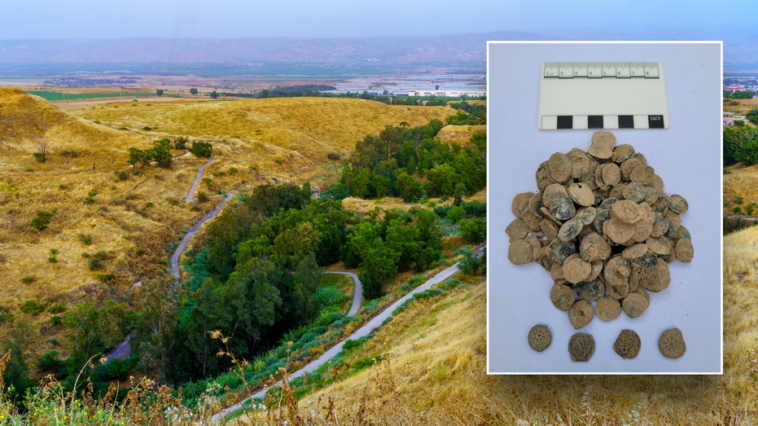 ancient-treasure,-largest-of-its-kind-in-israel,-found-buried-in-2,100-year-old-kitchen