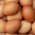 egg-prices-hit-shocking-highs-–-will-$9-a-dozen-be-the-new-standard?