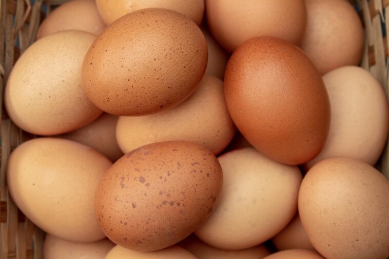 egg-prices-hit-shocking-highs-–-will-$9-a-dozen-be-the-new-standard?