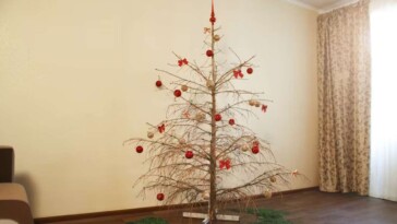 ‘please,-someone-kill-me-now,’-begs-dried-out-christmas-tree-from-corner-of-living-room