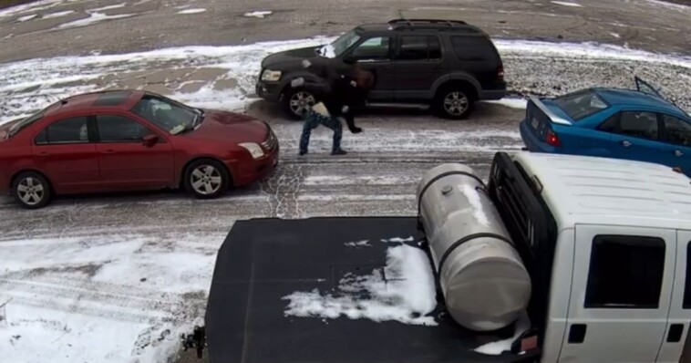 road-raging-woman-smacking-quiet-guy,-ends-up-airborne-split-second-later