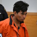 sebastian-zapeta-calil,-migrant-accused-of-torching-nj-woman-to-death-on-nyc-subway,-claims-he-was-‘blacked-out’-drunk-before-sick-attack:-court-docs