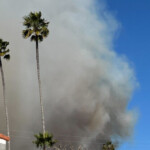 brush-fire-spreads-into-hollywood-hills-amid-‘life-threatening’-wind-conditions