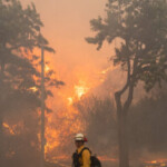 homes-burn-as-wildfire-is-carried-across-pacific-palisades-by-strong-winds