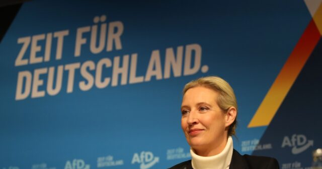 german-anti-mass-migration-afd-party-surges-in-polls-ahead-of-election