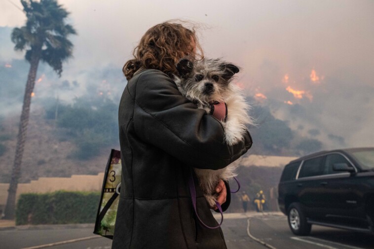 heroic-veterinarian-takes-in-41-animals-as-owners-flee-‘apocalyptic’-palisades-fire:-‘i-haven’t-slept-at-all’