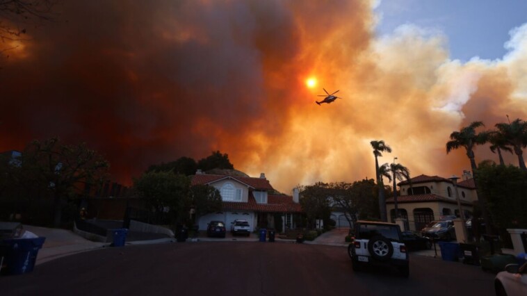 california-assemblyman-explains-how-state-has-mismanaged-fire-prevention-policies-as-wildfires-rage