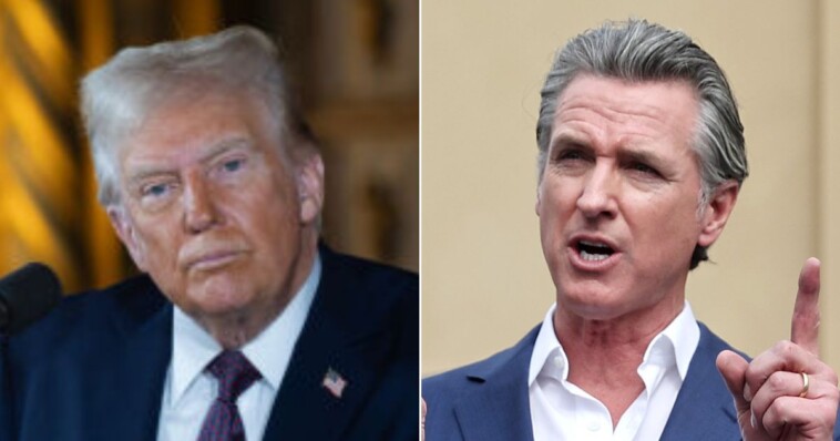 trump-says-gavin-newsom’s-attempt-to-protect-an-‘essentially-worthless-fish’-caused-fire-disaster