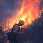 orange-county-fire-chief:-dead-vegetation-that’s-still-on-hillsides-is-helping-fires-spread-faster