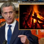 problem-solved:-newsom-announces-plan-to-make-fire-illegal