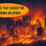 10-things-that-caused-the-california-wildfires