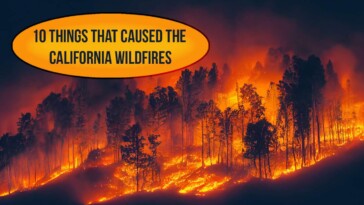 10-things-that-caused-the-california-wildfires