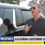 frazzled-gov.-newsom-tells-distraught-la-mom-he’s-struggling-to-call-biden-when-confronted-over-wildfires-that-leveled-city:-‘why-was-there-no-water?’