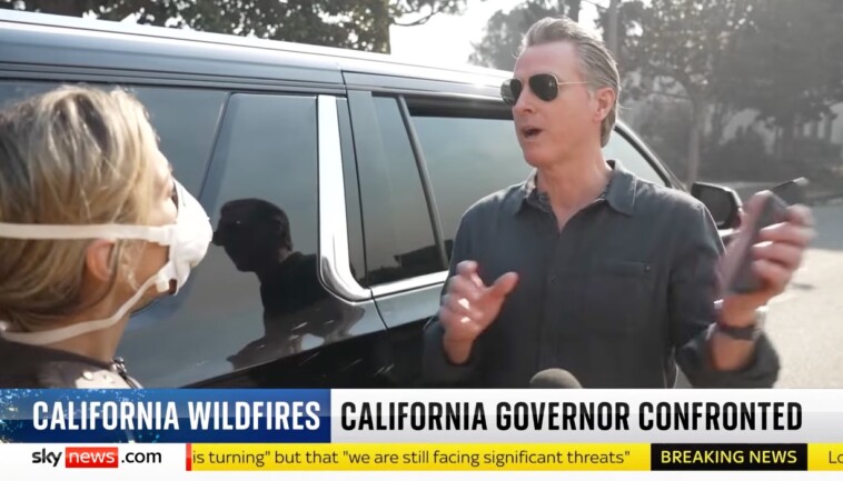 frazzled-gov.-newsom-tells-distraught-la-mom-he’s-struggling-to-call-biden-when-confronted-over-wildfires-that-leveled-city:-‘why-was-there-no-water?’