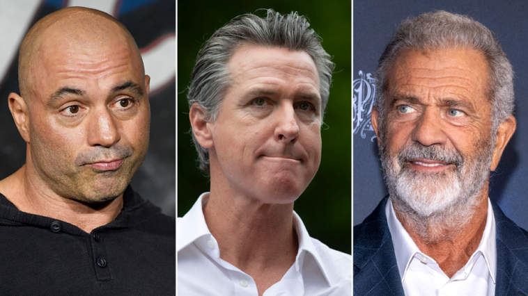 joe-rogan,-mel-gibson-blast-gov.-newsom-amid-wildfires:-‘personally-ruined’-california