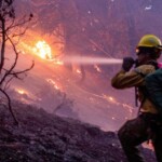 california-wildfires:-essential-phone-numbers-for-los-angeles-area-residents-and-how-you-can-help-them