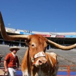 peta-demands-sec-commissioner-ban-texas-longhorns-mascot-from-cotton-bowl-classic