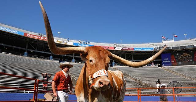 peta-demands-sec-commissioner-ban-texas-longhorns-mascot-from-cotton-bowl-classic