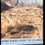 weather-channel-accused-of-airing-burnt-body-in-la-fire-coverage:-‘tell-me-that’s-not-a-skull…-you-can-see-the-leg-bones-coming-out’