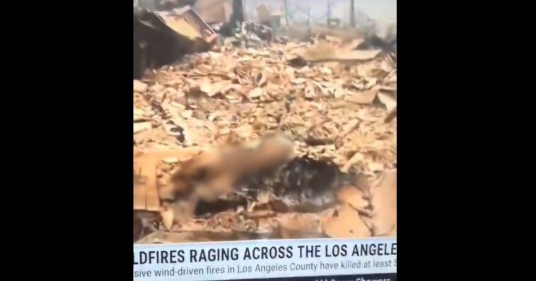 weather-channel-accused-of-airing-burnt-body-in-la-fire-coverage:-‘tell-me-that’s-not-a-skull…-you-can-see-the-leg-bones-coming-out’