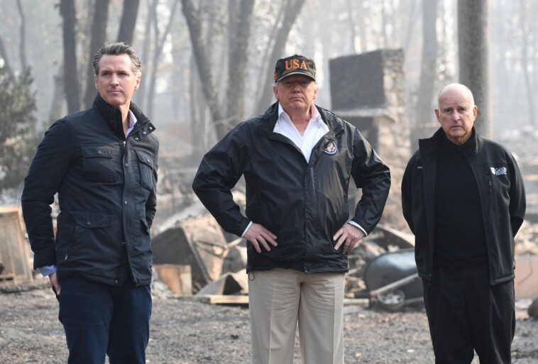 newsom-hits-back-at-trump-over-wildfire-blame-game,-urges-him-to-visit-la:-‘take-a-look-for-himself’