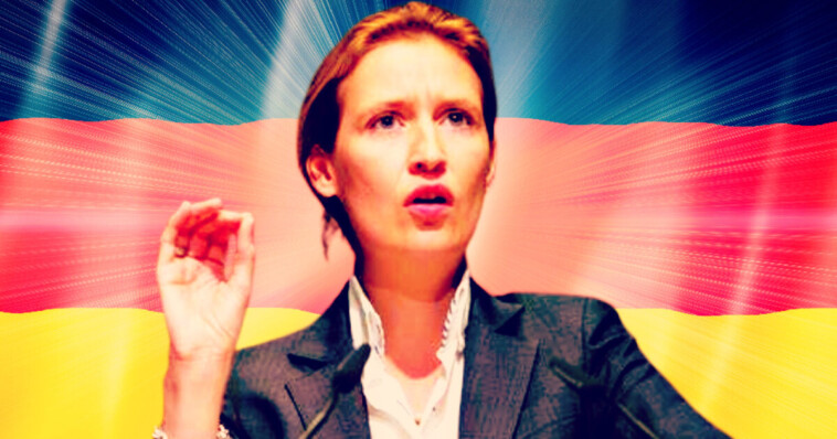 remigration:-afd’s-alice-weidel-vows-mass-deportations-and-border-closures-if-she-becomes-german-chancellor