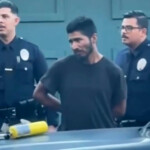 suspect-arrested-with-‘flamethrower’-near-la-fire-is-an-illegal-immigrant:-report