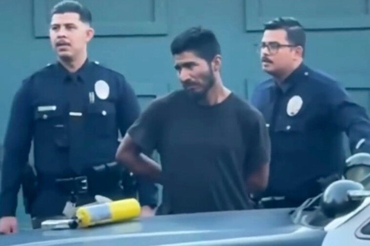 suspect-arrested-with-‘flamethrower’-near-la-fire-is-an-illegal-immigrant:-report