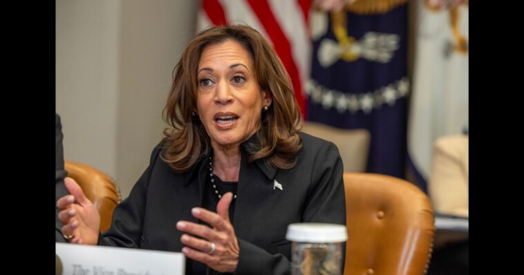 kamala-donors-furious-after-looking-at-credit-cards-in-january-2025