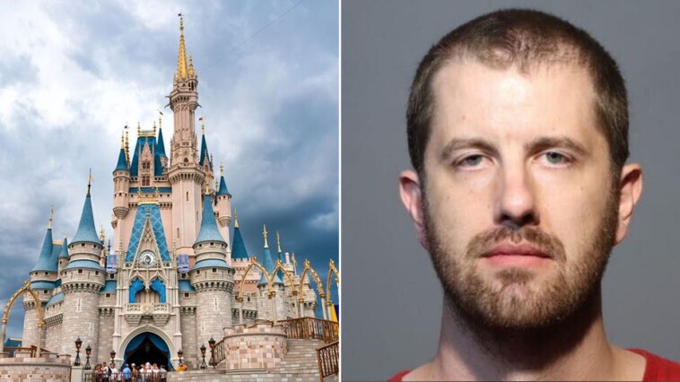 fired-disney-world-employee-pleads-guilty-to-hacking-menu,-removing-life-saving-allergy-information