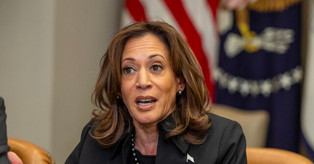 kamala-harris-delivers-word-salad-telling-wildfire-victims-to-‘find-anything’-that-helps-them-‘be-patient’