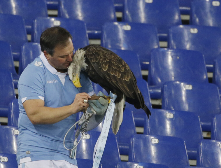 italian-soccer-team-lazio-fires-falconer-for-posting-penis-photos-after-enhancement-surgery