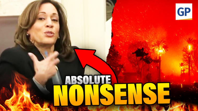 she-said-what?!-kamala-delivers-word-salad-to-la-fire-victims-|-elijah-schaffer’s-top-5-(video)