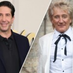 ‘friends’-star-david-schwimmer-served-rod-stewart-with-divorce-papers