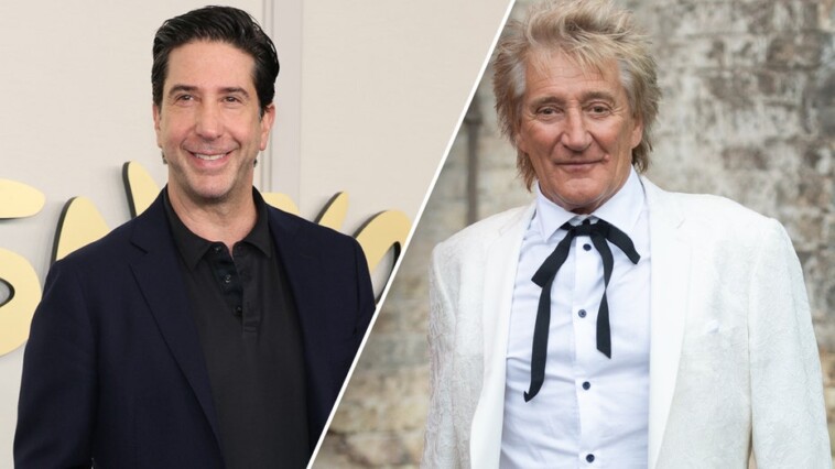 ‘friends’-star-david-schwimmer-served-rod-stewart-with-divorce-papers