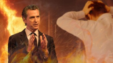 gavin-newsom-rushes-into-burning-building-to-inform-fire-victim-trump-is-bad