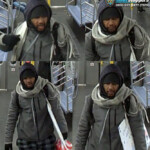 straphanger,-33,-hospitalized-after-brute-pummels-him-on-nyc-subway:-cops