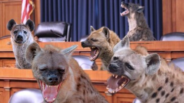 to-improve-senate-confirmation-hearings,-democratic-women-replaced-by-rabid-hyenas