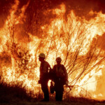 lafd-team-tasked-with-preventing-wildfires-accused-of-corruption,-laziness-before-blazes-devastated-city