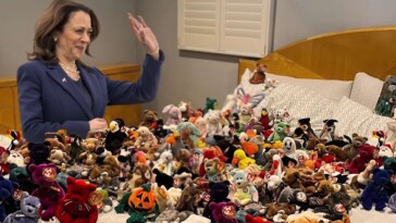 kamala-harris-delivers-farewell-address-to-a-bunch-of-beanie-babies-spread-out-on-her-bed